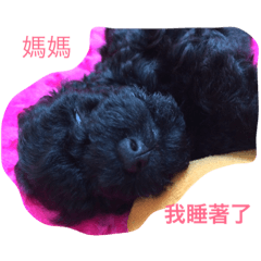 Baby_818