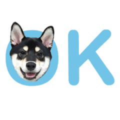 Q將的日常用語