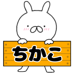 A dedicated name rabbit Tikako