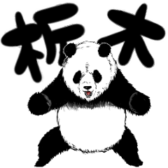 tanuchan Tochigi geki panda
