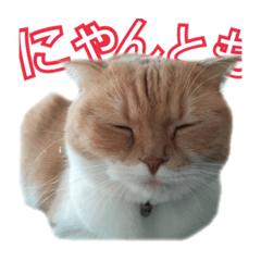 Sally is very hungry.