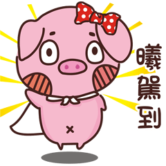 Coco Pig -Name stickers -Si