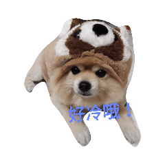 搞怪李豆皮