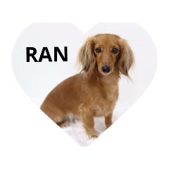 ran_20190113215021