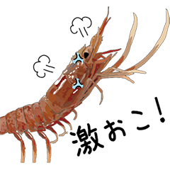 (Animation)Shrimp