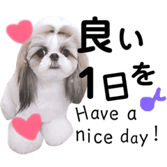 シーズーの凪さんと仲間たち Line スタンプ Line Store シーズーの凪さんと仲間たち Line スタンプ Line Store