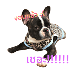 Mualie001