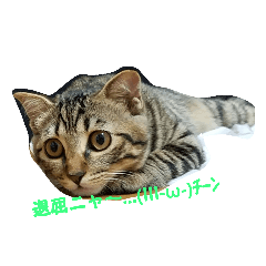 Mayumi_20190120062009
