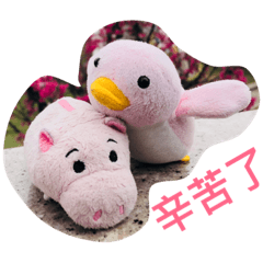 阿哺&小企鵝
