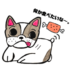 French- Bulldog