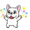【日文版】豆卡頻道 超活潑的狗