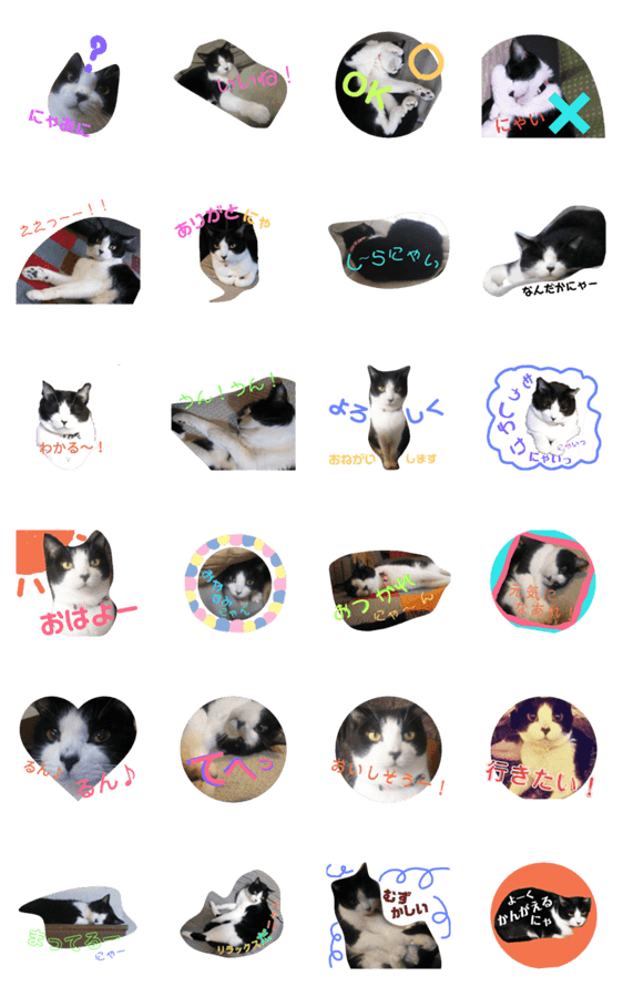 ハチワレ猫 Kirikoの生活スタンプ Lineクリエイターズスタンプ Stamplist