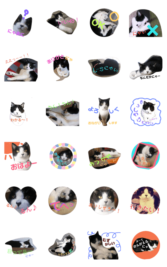 ハチワレ猫 Kirikoの生活スタンプ Lineクリエイターズスタンプ Stamplist ハチワレ猫 Kirikoの生活スタンプ Lineクリエイターズスタンプ Stamplist