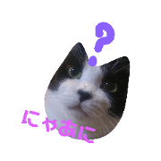 Cat stickers-Kiriko's life
