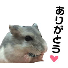 Yone hamster stamp 2