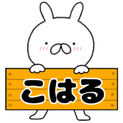 A dedicated name rabbit Koharu
