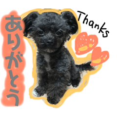 hirochan's stickers,dog and cat