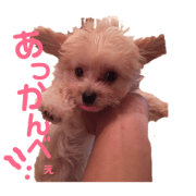 Aika_20190131161459