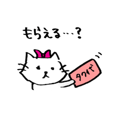 minatoku cat