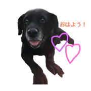 Tamari_20190115175053