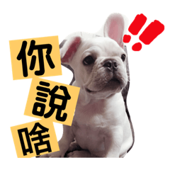 肉呆小法鬥