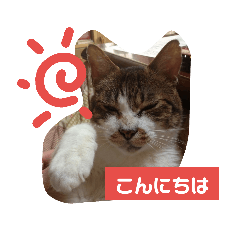 IKUMI_20190211233726