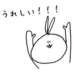 rabbit 20190206