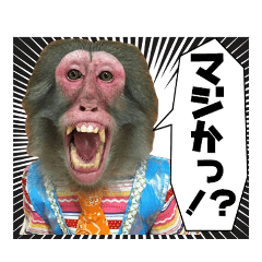 Monkey show Sticker
