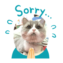 QQ軟糖 萌寵駕到