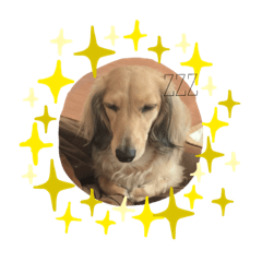 meme_20190212221202