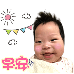 Q 寶 的 日 常