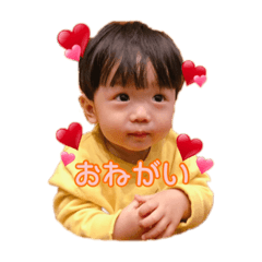 yun_2019