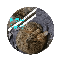 游小球