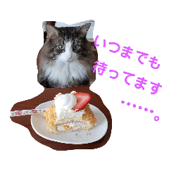 megumi_20190114200531