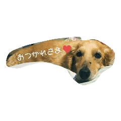 moka_20190213081536