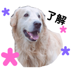 ayumi_20190213115220