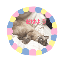 yukko_20170328y