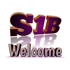 S1B