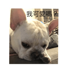 Ruby_20190124234524