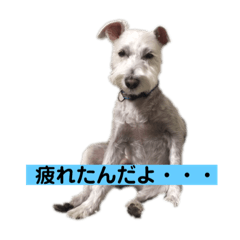 ASK_20190112185239