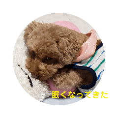 Milky_20190203141139