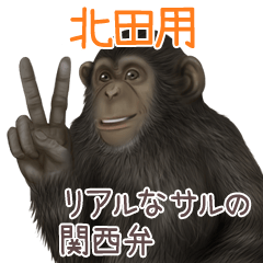 Kitada 1 Monkey's real myouji