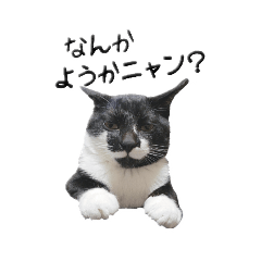 yuma_20190120174438