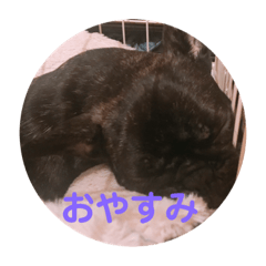 Aoi_20190209130202