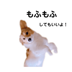 saori_20190203224602