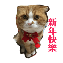 大頭_大頭下雨不愁