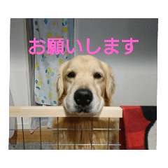 satomin_20190123023408