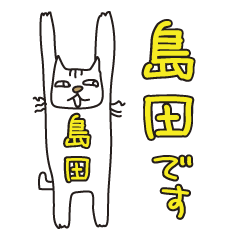 Only for Mr. Shimada Banzai Cat