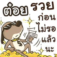 Name TOI (Cute Dog)