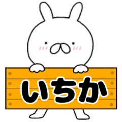 A dedicated name rabbit Itika